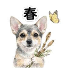 ansumo_20260220102132