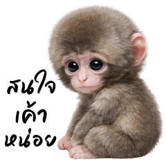 น้องลิงหิมะ (บิ๊กสติกเกอร์)