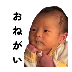 gyuuchan_20260219