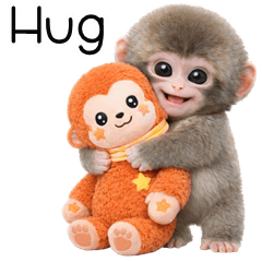 Japanese macaque (ENG)