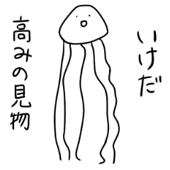 Muscle Jellyfish IKEDA