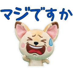 สุนัขจิ้งจอกเฟนเนก สุภาพ 11