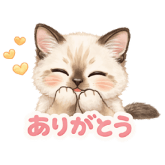 Cute Siamese Cat Daily Life Stickers