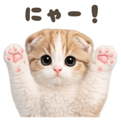 スコティッシュフォールドのBIGスタンプ