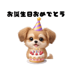 All Seasons! Fluffy Dog Events