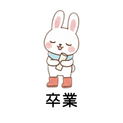 chapio_20260219161912