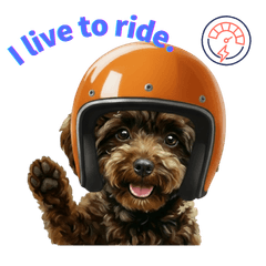 Adorable biker dog stickers