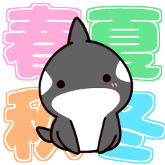 Of killer whales, Shatchi Season