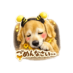 Anela Family_20260219190800