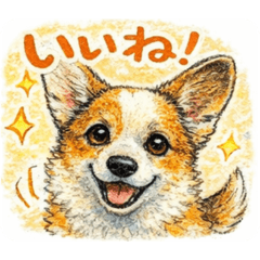 xiang713_20260219185406