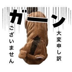 anchovi_20260219193027