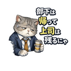 Veteran Cat Salaryman's Truth