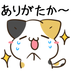 動く！毎日五月病なねこたち 博多弁