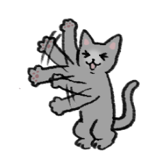 Coco the Russian Blue