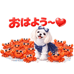 siesta de luna_20260219210337