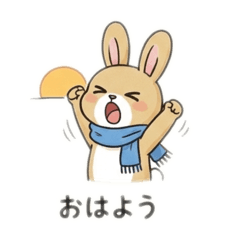 chapio_20260219221431