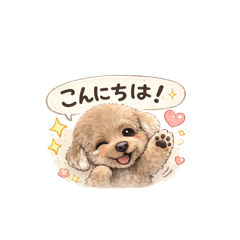 SONASONA_20260219232923