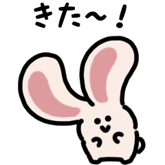 長耳兔（日本）