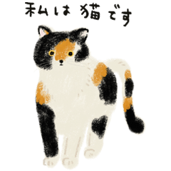 Neko Neko Neko Everyday Cats