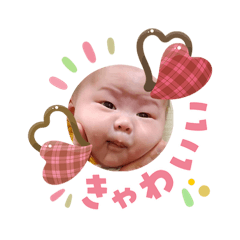 kinmokusei_20260219182821
