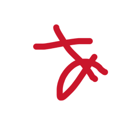 mirumo_20260219183025