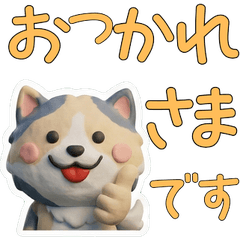 Moving Dilute Calico Cat 28