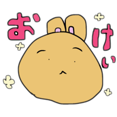 kinaco_20260220103038