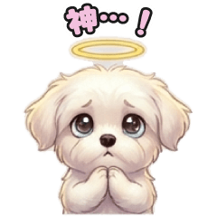 Mixed Dog Series: Marupome