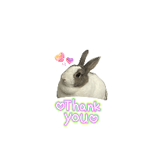 到處都是可（1）