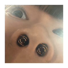 田晰易經大學學生田西格瑪