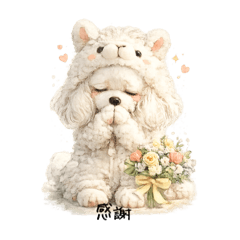 suryeon_20260220010458