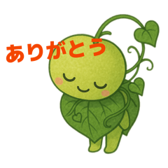 The daily life of Muscut