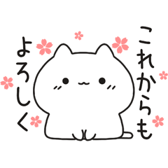 Moving ! Cats are the best : Spring