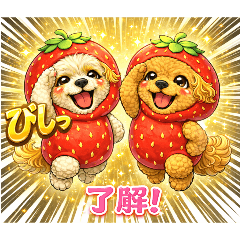 maron & baron_20260219193832