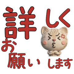 Polite Snow Bengal Cat 29