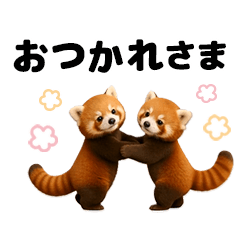 Moves! Friendly red panda baby