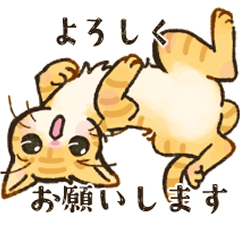 CAT RU AND CHACHA Honorific version