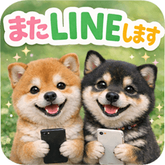 consideration Shiba Inu p