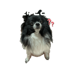 uemu_20260220132553