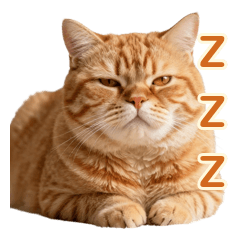 Do Not Wake the Orange Tabby