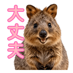 Healing Quokka: Gentle Support