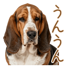 Comforting Dog: Daily Nods