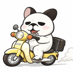 Gentle Office Frenchie