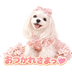 siesta de luna_20260219143839