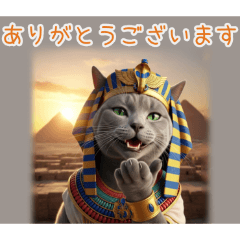 PAKAMOGOLY_20260217073557