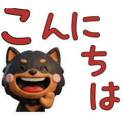 Polite Black & Tan Pomeranian 29