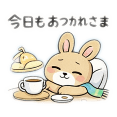 chapio_20260220140147