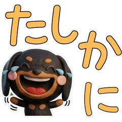 Moving Black & Tan Dachshund 28