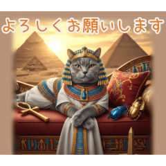 PAKAMOGOLY_20260217074132