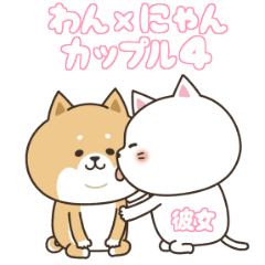 a dog-cat couple 4 move (for her)